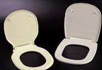 Toilet seat covers and toilet seat mold