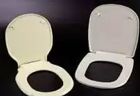 Toilet seat covers and toilet seat mold